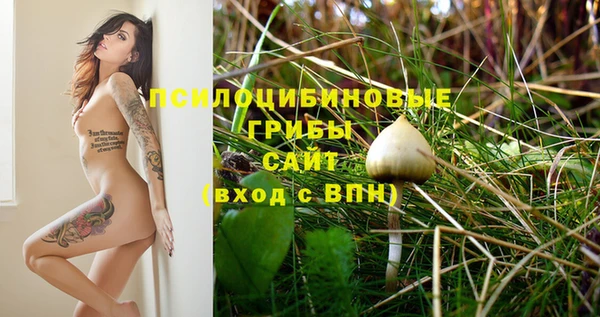 первитин Абинск
