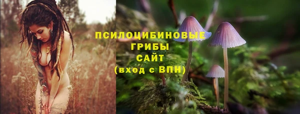 спайс Новодвинск
