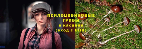спайс Новодвинск