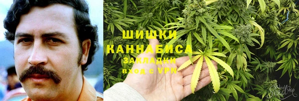 спайс Новодвинск