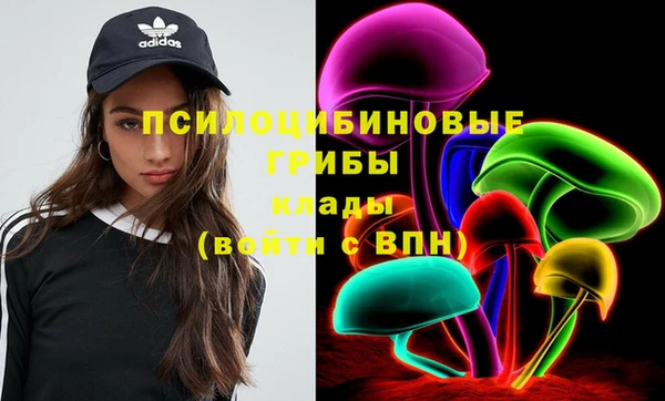 прущие крисы Абаза
