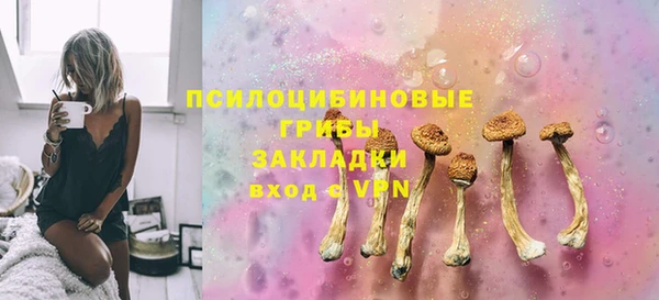 соль курить ск Новозыбков
