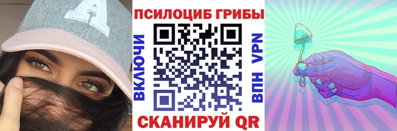 Псилоцибиновые грибы Psilocybe  Суоярви 